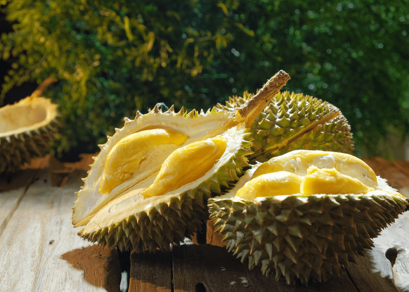 Revealing the Aromatic Journey: Investigating Singapore’s Premier Durian Establishments